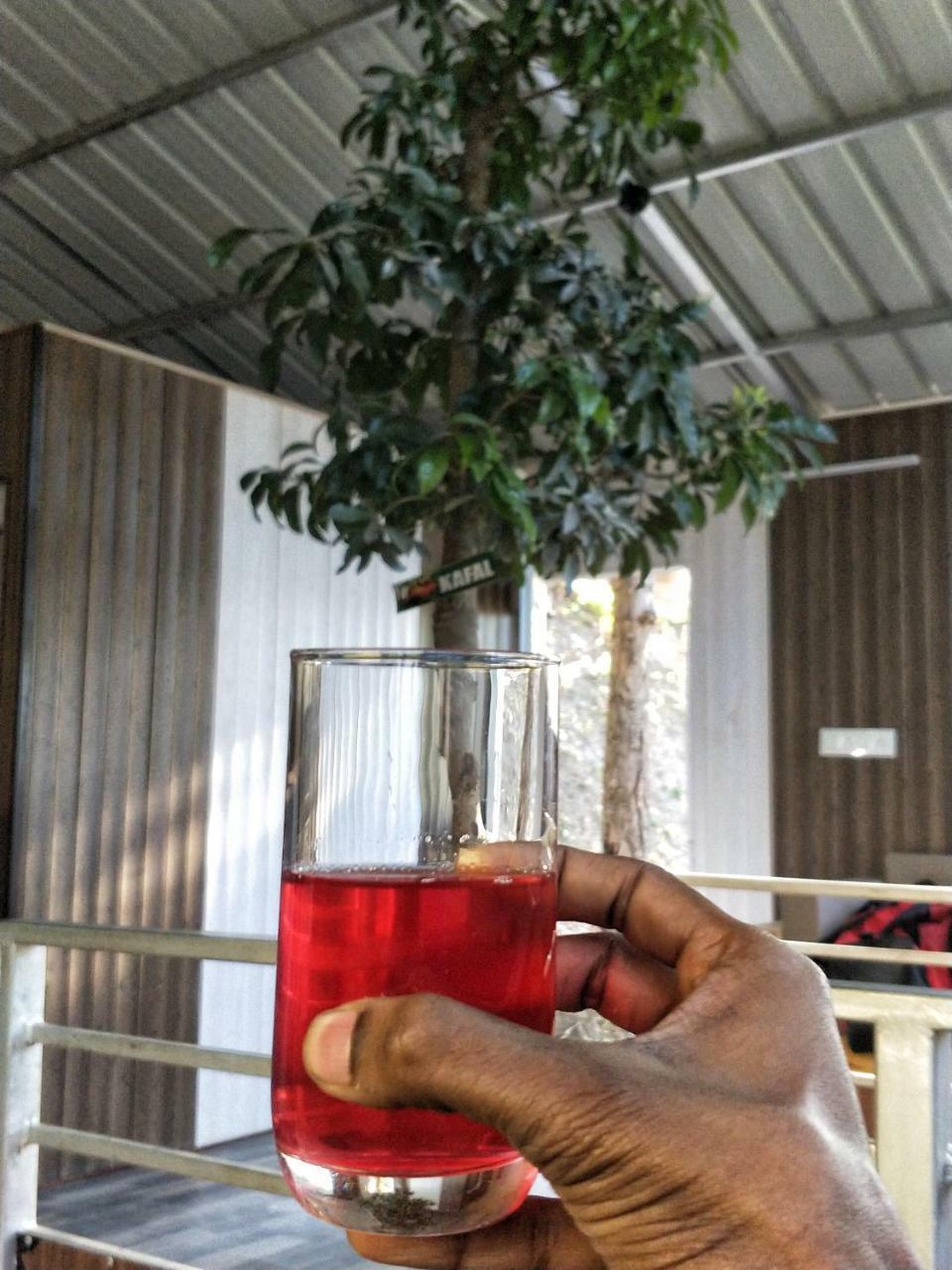The Cocoon Camps & Nature Resorts Nainital Luaran gambar